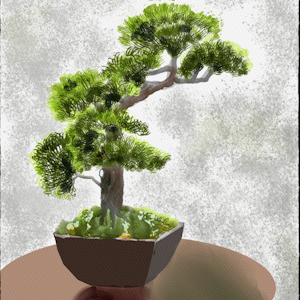 bonsai.png